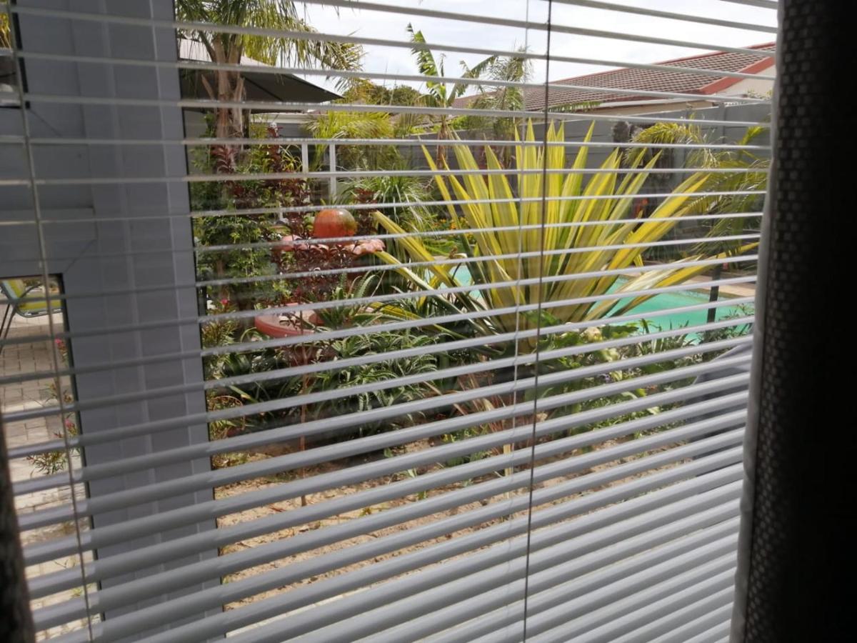 Northern Vine Guesthouse B&B Self-Catering Brackenfell Extérieur photo